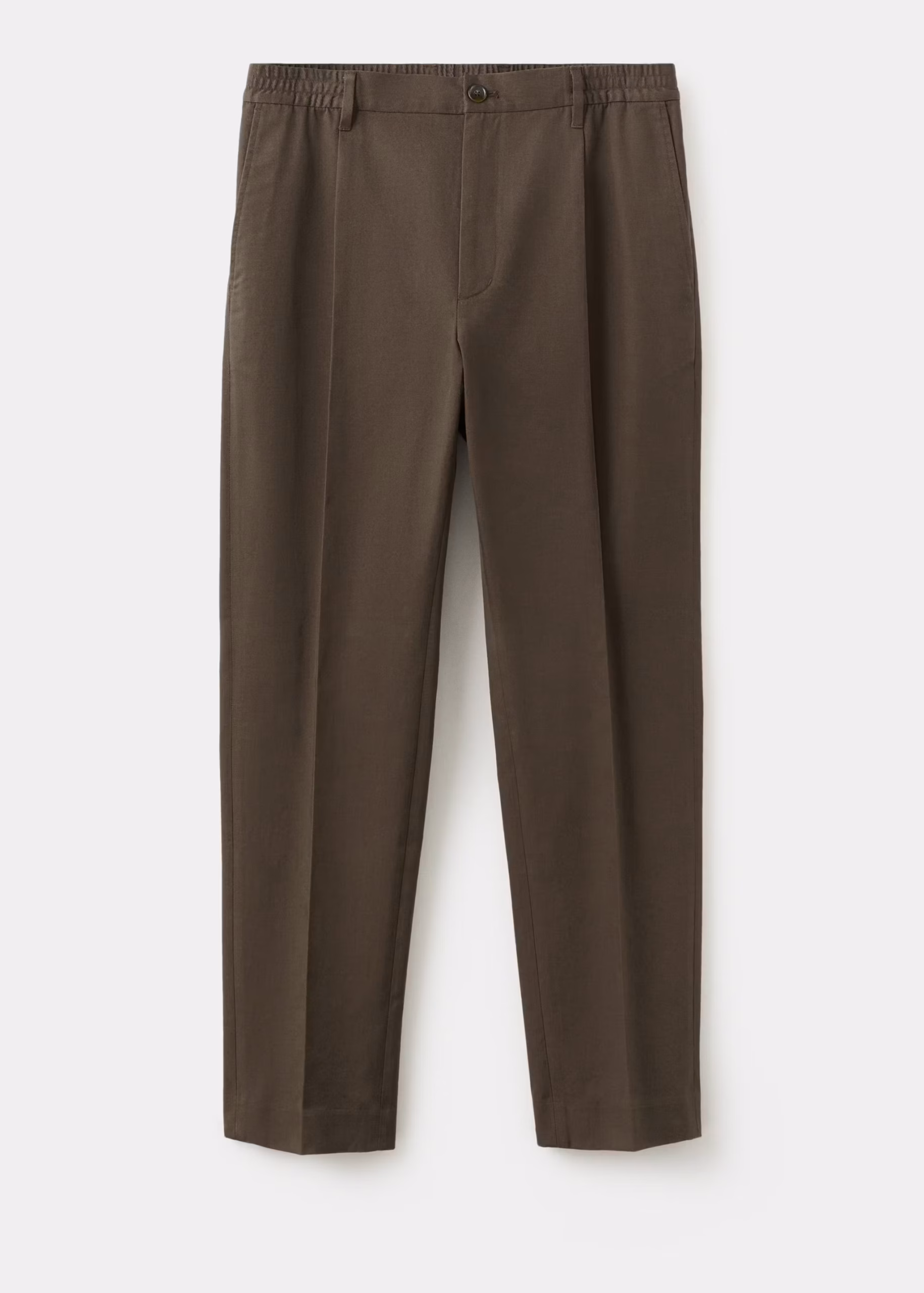Regular-fit pleated trousers (Brown)