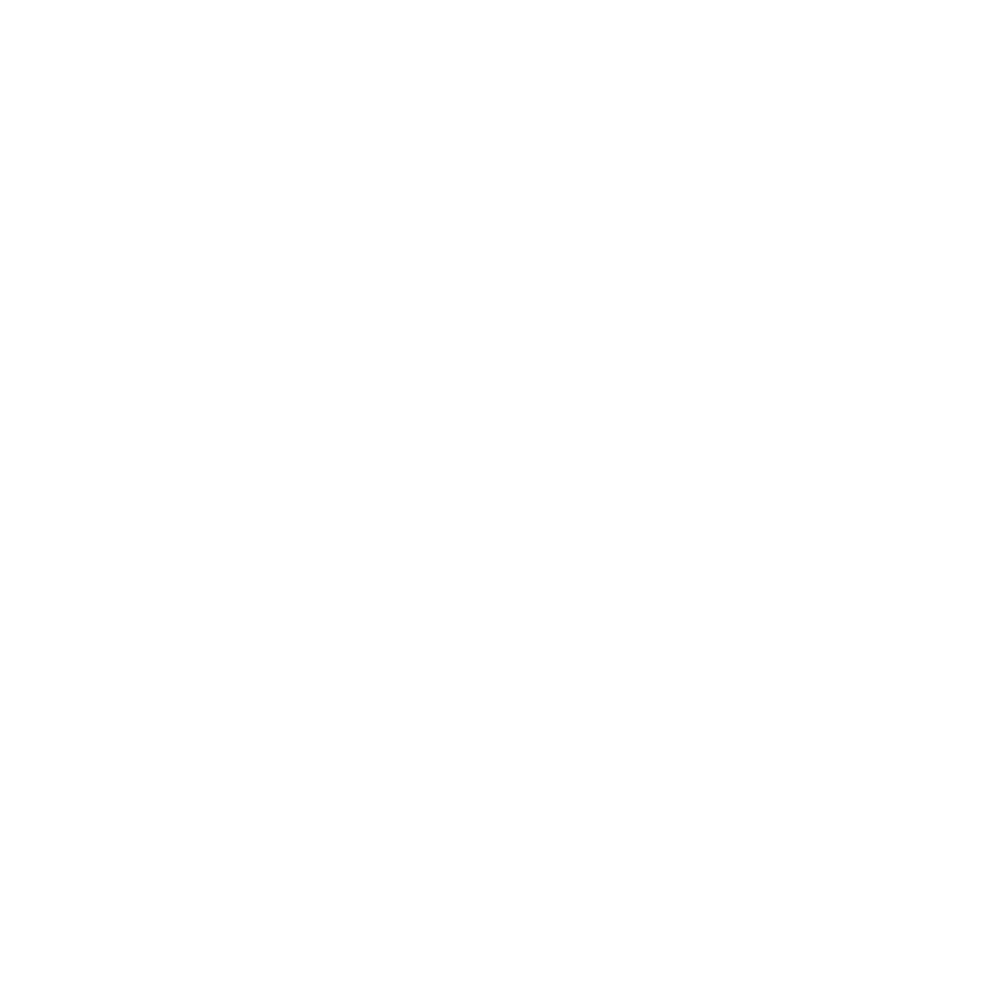 Vilnius Multi Services